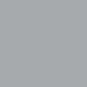 RSP logo